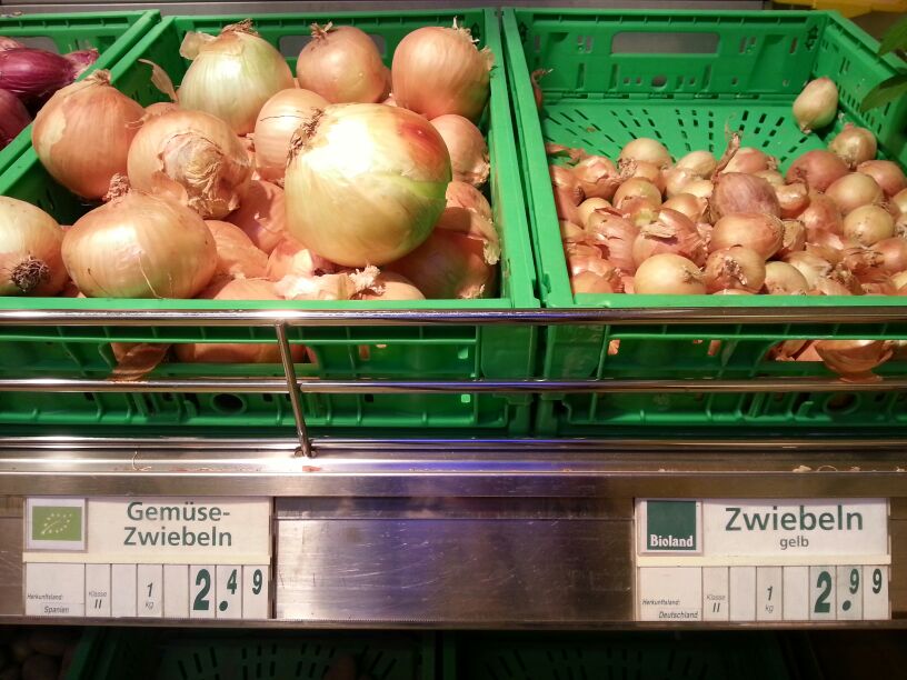 Zwiebel aus Deutschland