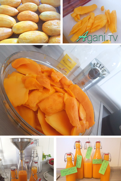 mango likoer selber machen